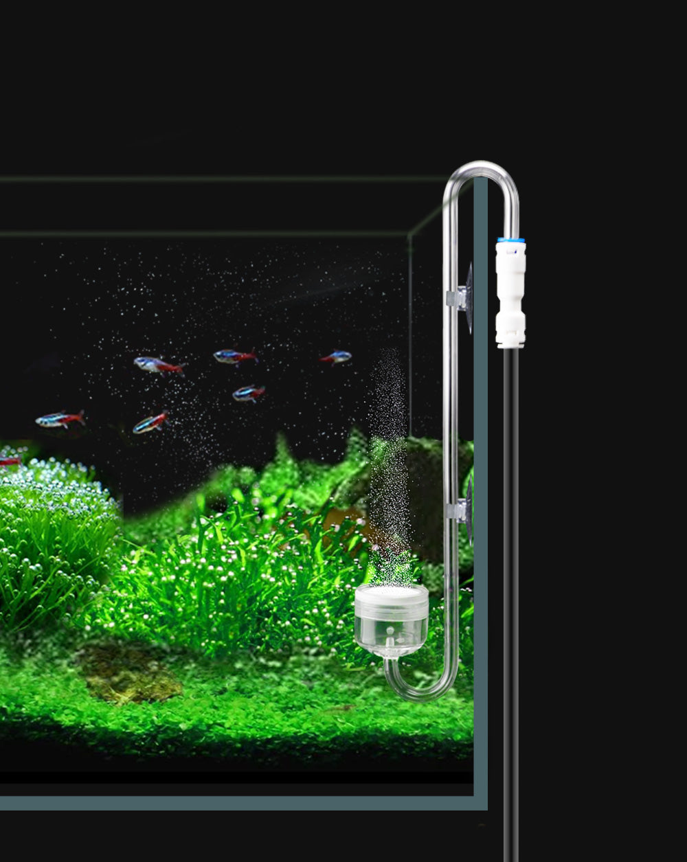 CO2ディフューザー – Clscea