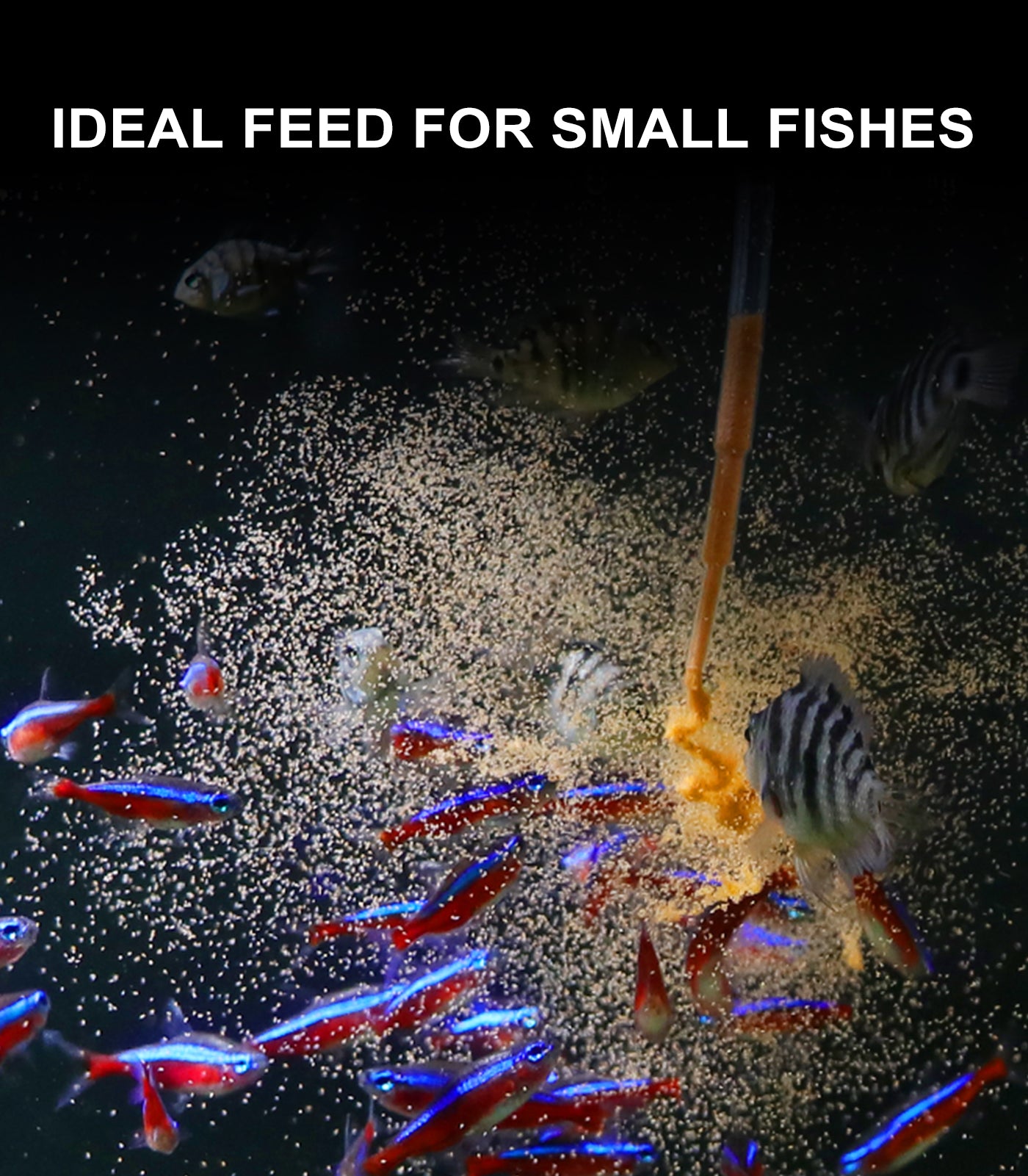Aquarium DIY Brine Shrimp Incubator Hatchery Complete kit Include 26 PCS Parts
