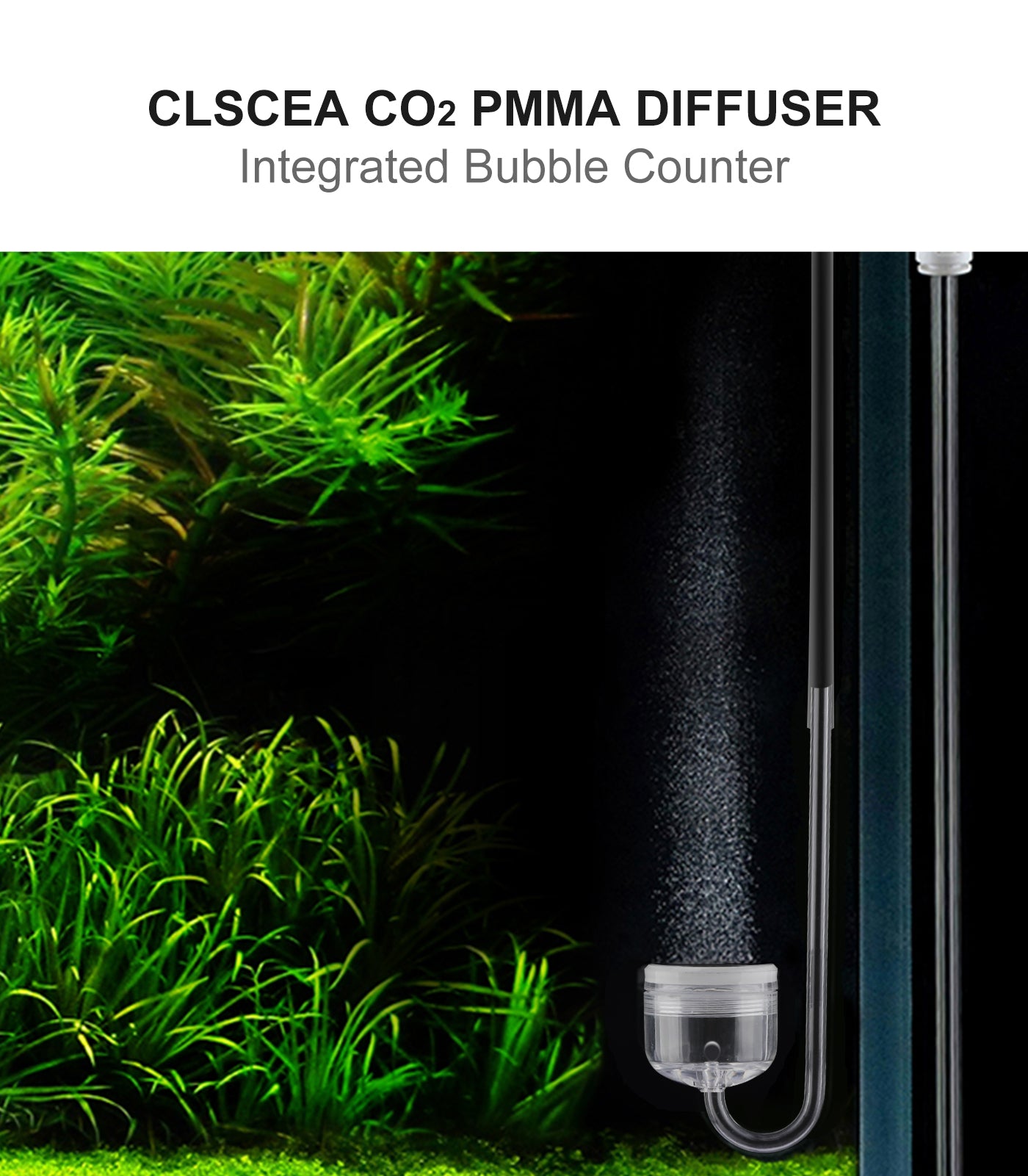 Acrylic CO2 Diffuser with Integrated Bubble Counter for Aquarium Plants (L)