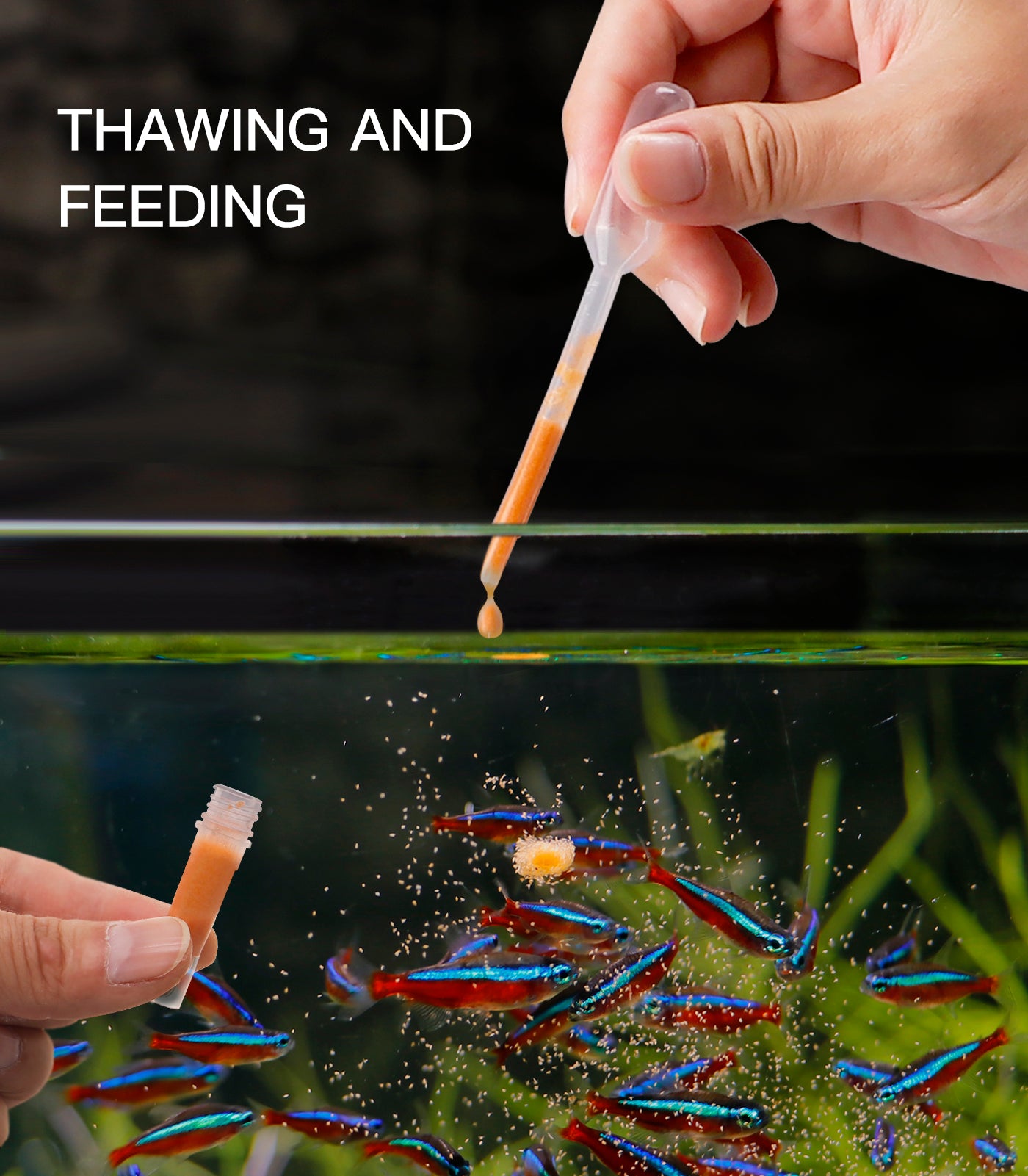 Clscea Aquarium Baby Brine Shrimp Dispense Storage Container Collection Tubes Kit for Brine Shrimp Hatchery 12 x 1.5 ml