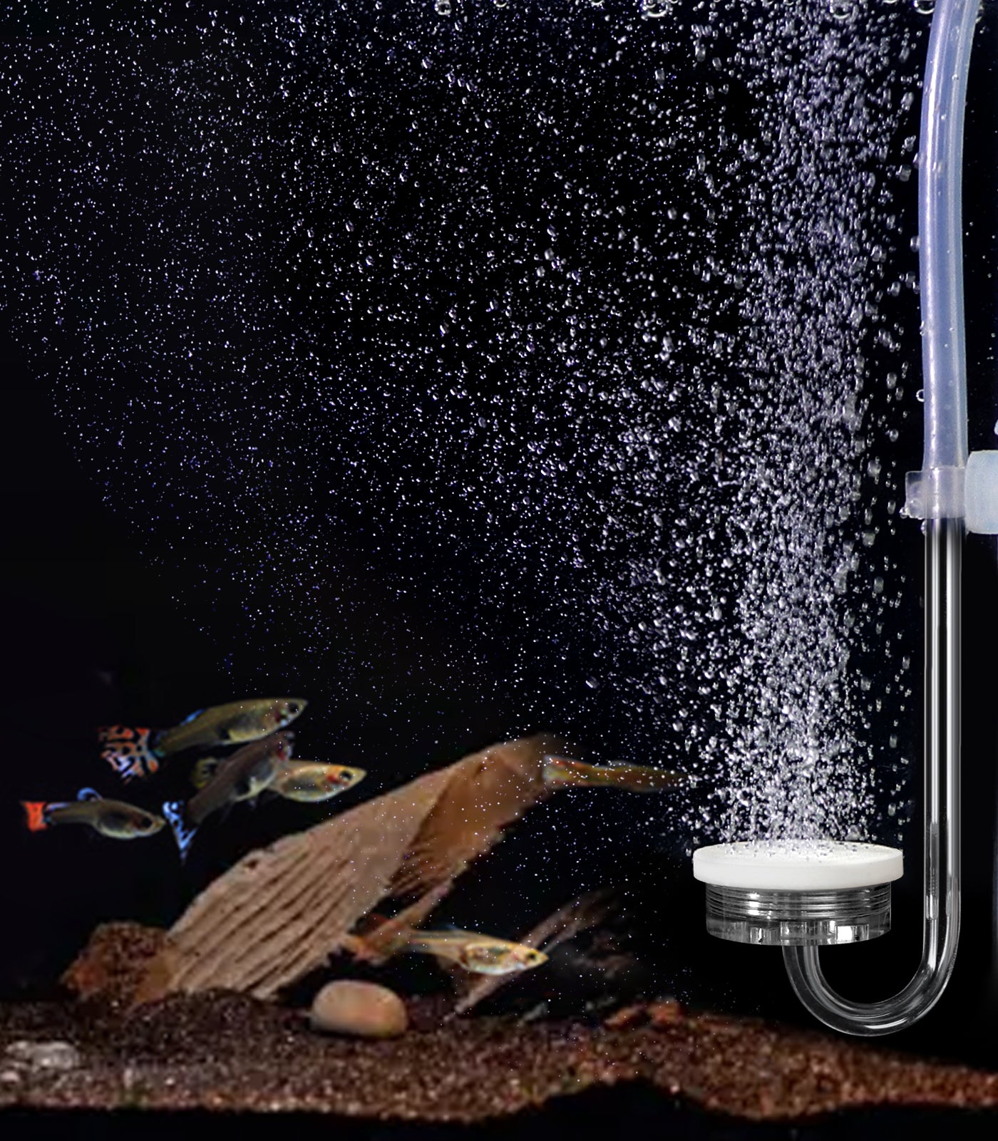 Aquarium Air Diffuser for Fish Tank Air Bubbler for mini Tank