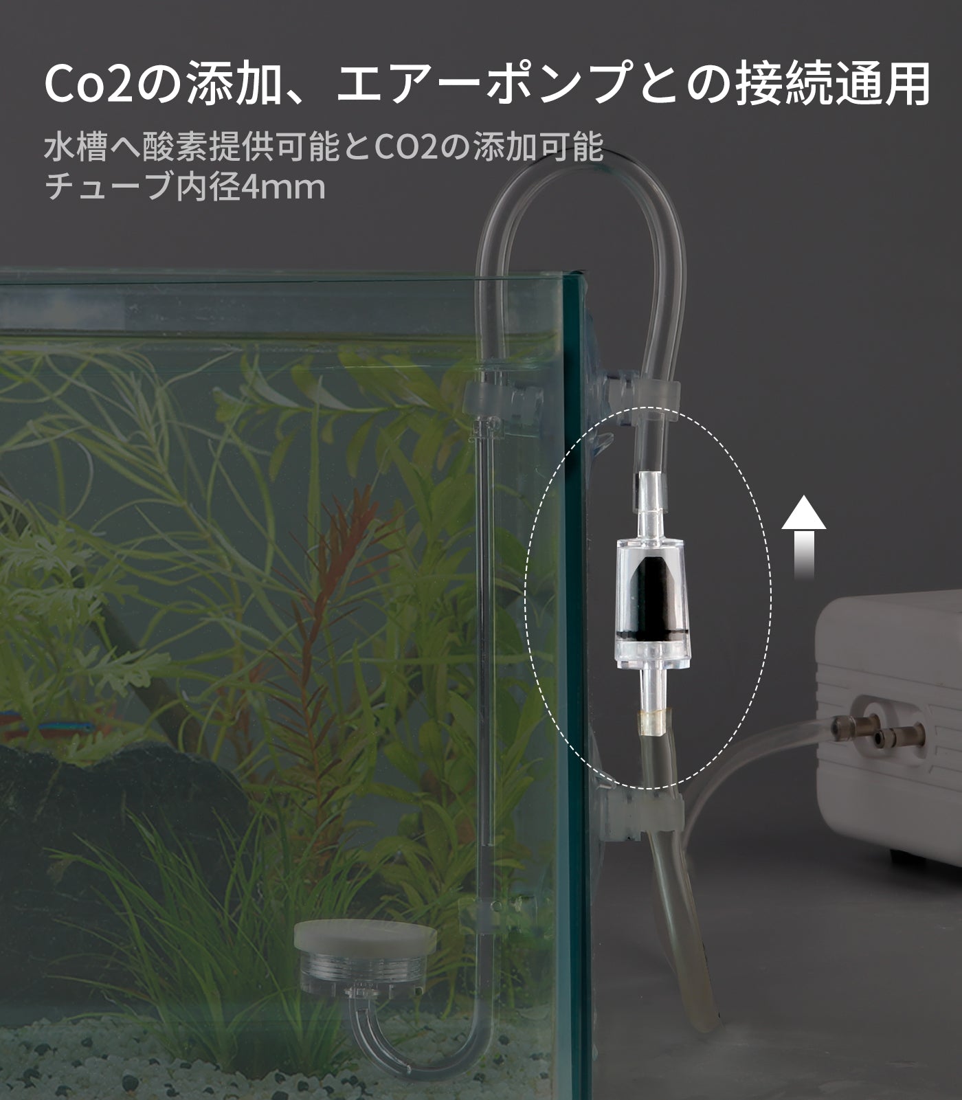 Clscea 水槽用 CO2用逆流防止弁 エアーポンプ逆流防止弁 3個セット