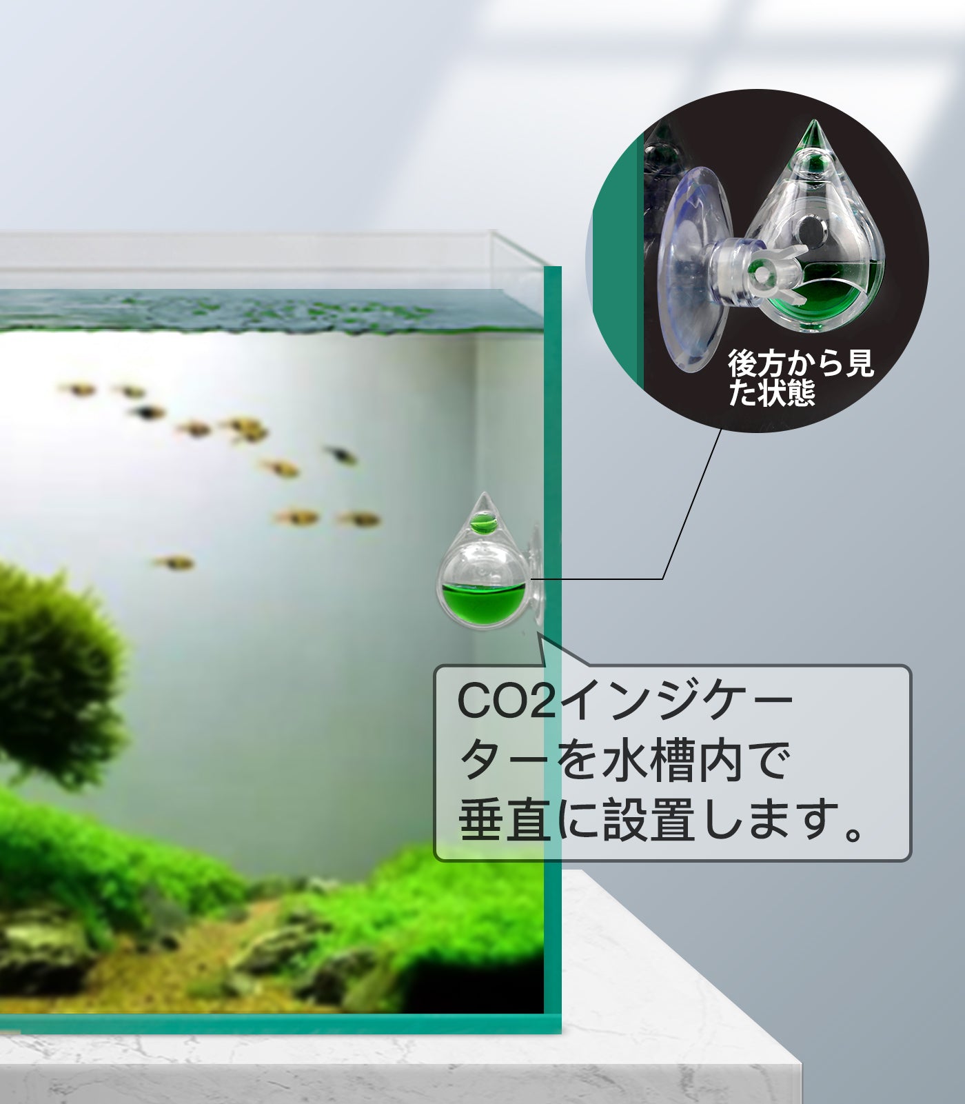 水槽水族館用 co2インジケーター co2ドロップチェッカー…