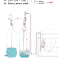 Clscea 水槽用DIY co2ジェネレーター co2添加 化学式co2 co2 セット ランキング 水槽 二酸化炭素 ディフューザー付き ペットボトル G211